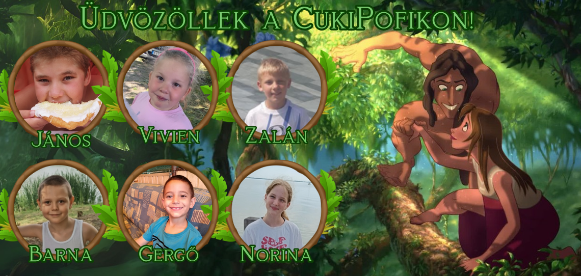 CukiPofik